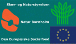 bornholmsnatur-dk